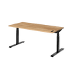 Ergonofis